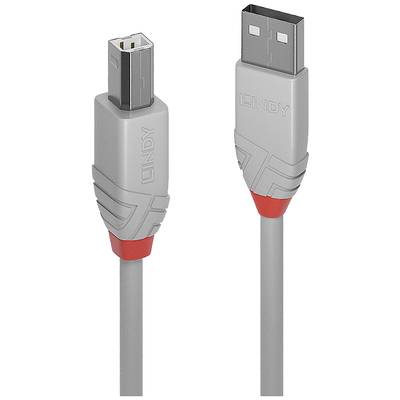 LINDY USB-Kabel USB 2.0 USB-A Stecker, USB-B Stecker 3 m Grau  36684