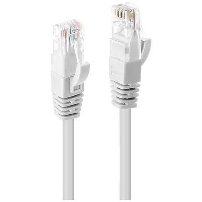 Zwei graue Ethernet-Kabel mit RJ45-Steckern, die für Netzwerkverbindungen verwendet werden.