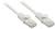 Zwei weiße Ethernet-Kabel mit transparenten Steckern liegen nebeneinander.