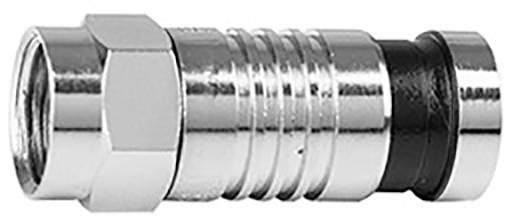 TELEGÄRTNER TEGA F-Kompressions- J01600A0014 stecker,G2 (RG-59B/U)