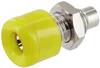 econ connect HOB25GE Miniatur-Bananenstecker Buchse, Einbau Stift-Ø: 2.5 mm 1 St. Bulk