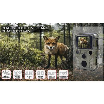 Braun Phototechnik Black 800 Mini Wildkamera 20 Megapixel ...