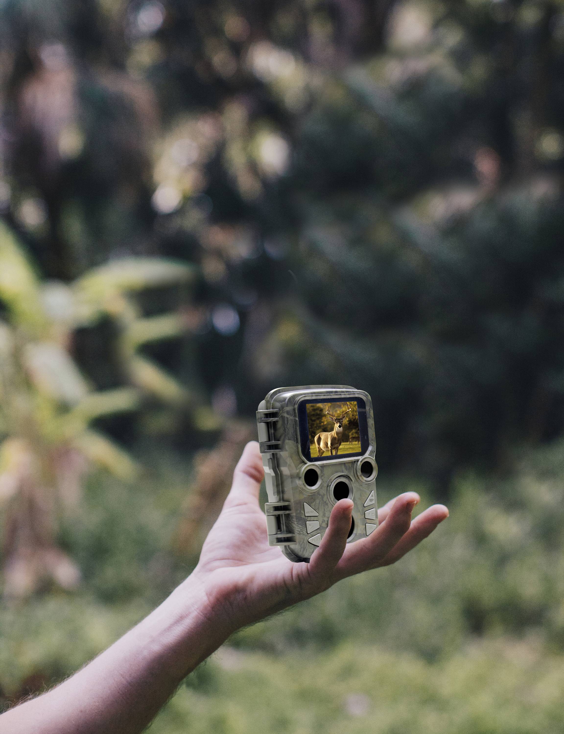 Eine Hand hält eine Wildkamera, die ein Bild eines Waldes auf einem kleinen Bildschirm zeigt. Im Hintergrund ist unscharfe Vegetation.