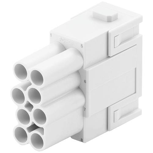Weidmüller 2748450000 Buchseneinsatz 8 PUSH IN mit Betätigungselement 1 St.
