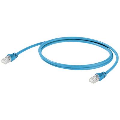 Blaues Ethernet-Kabel mit RJ-45-Steckern an beiden Enden, dargestellt auf weißem Hintergrund.
