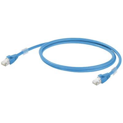 Ein blaues Ethernet-Kabel mit zwei RJ45-Steckern, verwendet zur Netzwerkverbindung.