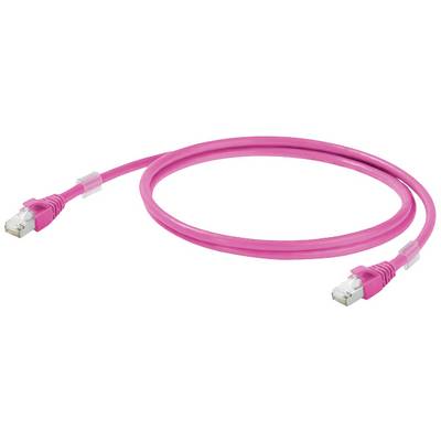 Ein pinkes Ethernet-Kabel mit RJ45-Steckern an beiden Enden.