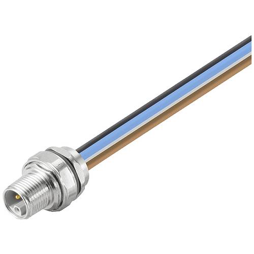 Weidmüller 2625960000 Sensor-/Aktor-Einbausteckverbinder M12 Stecker 0.30 m Polzahl Sensoren: 5 1 St.