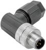 Weidmüller 2681570000 Sensor-/Aktor-Steckverbinder M12 Stecker Polzahl Sensoren: 5 1 St.