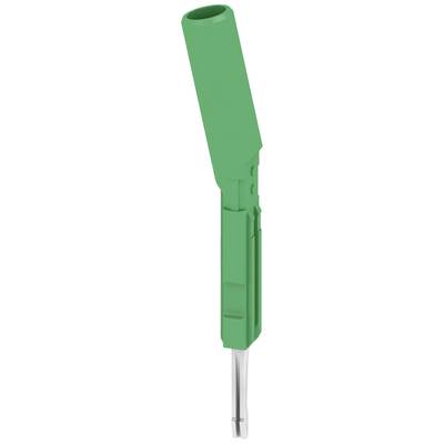 Grüner Kunststoffdübel mit metallischem Schraubgewinde, verwendet für sichere Befestigung in Wänden oder anderen Oberflächen.
