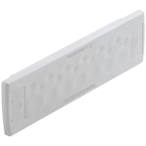 Weidmüller CABTITE EP B 24/19 GY Kabeldurchführungsplatte Plattenstärke (max.) 4 mm Thermoplast Grau 10 St.
