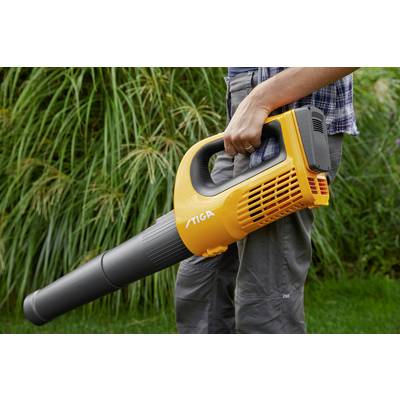 Eine Person hält einen gelben Laubbläser in der Hand, während sie in einem Garten neben hohen Gräsern steht.