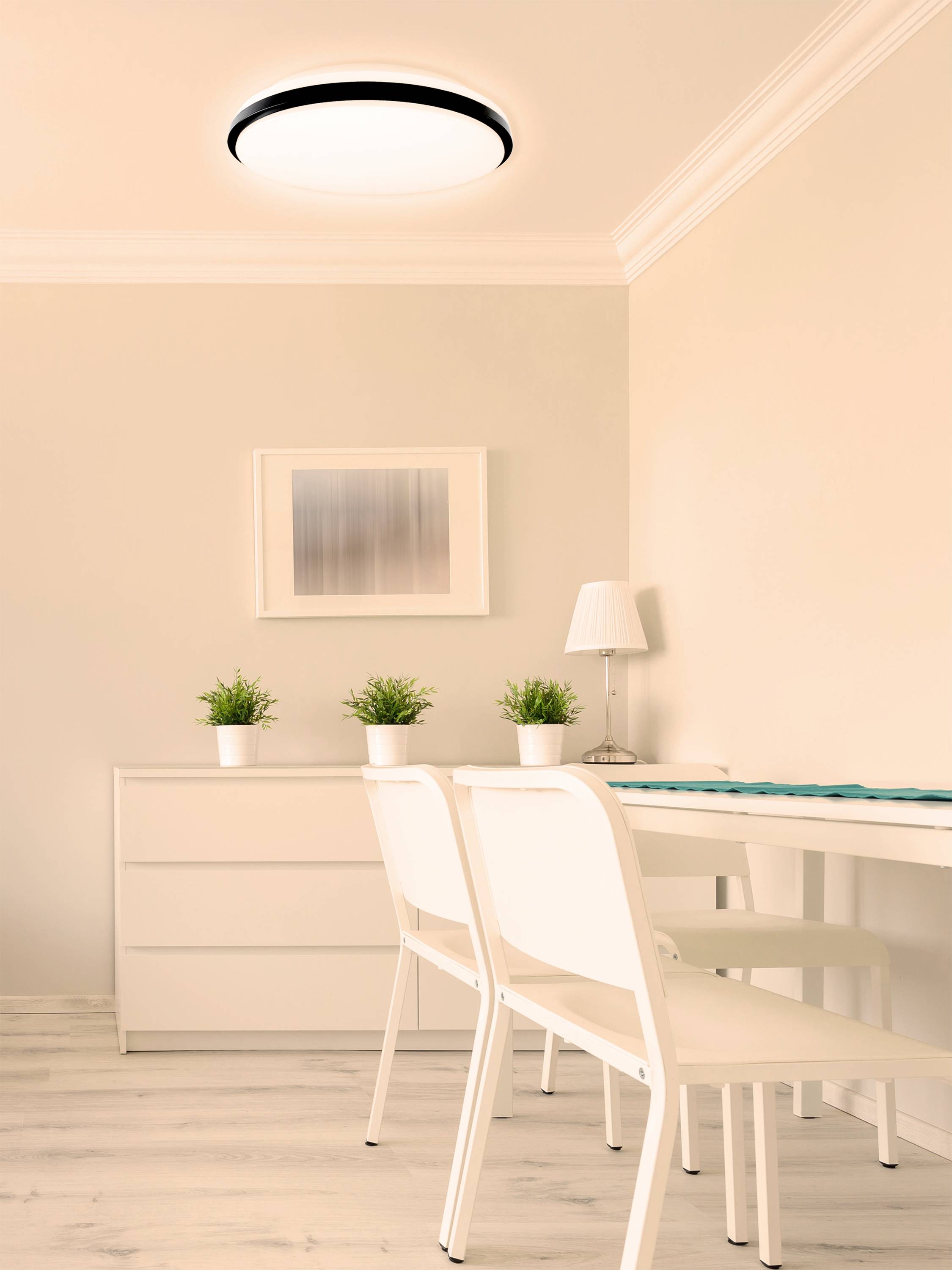 Ein heller, minimalistisch eingerichteter Raum mit einem Tisch, weißen Stühlen, grünen Pflanzen und einer Lampe an der Decke.