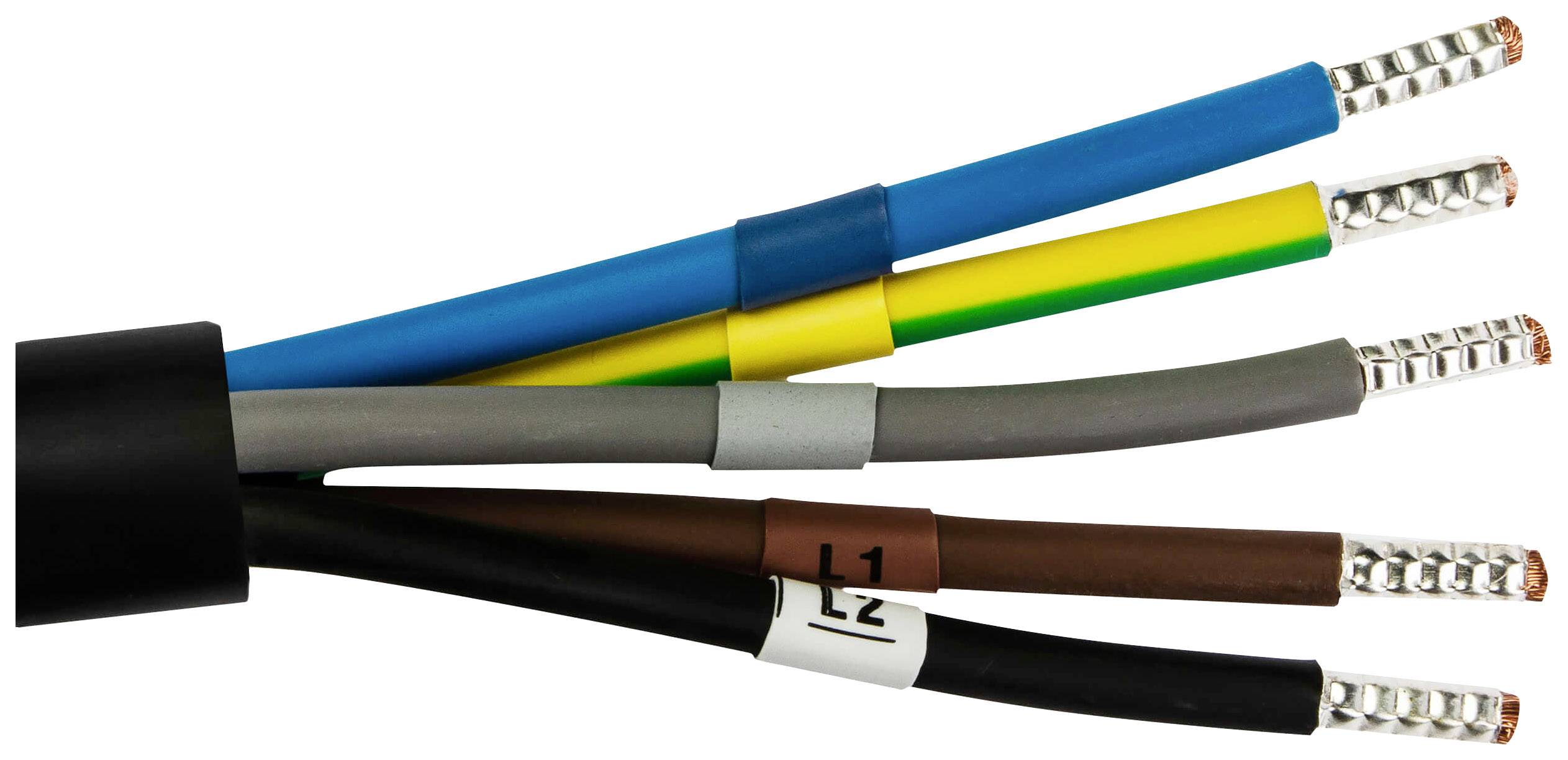 Vier farbige elektrische Kabel: blau, grün-gelb, grau, und braun, die aus einem schwarzen Kabelmantel ragen.