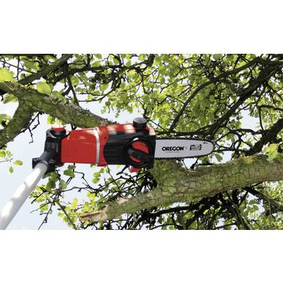 Eine rote Teleskop-Kettensäge schneidet einen Ast im grünen Laub eines Baumes. Sie wird für das Beschneiden von Zweigen verwendet.