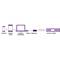 Diagramm zeigt die Verbindung eines mobilen Geräts, Tablets oder Laptops über einen USB-C-Adapter via Ethernet mit einem Router.