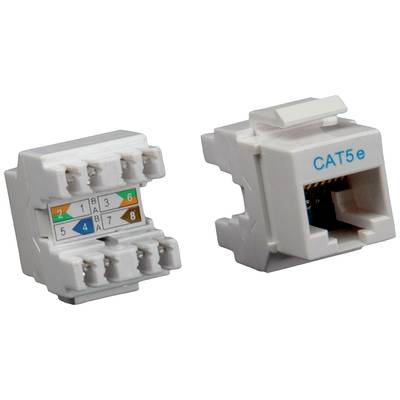 Zwei CAT5e-Netzwerkbuchsen, eine zeigt Drahtanschlüsse mit Farbcodes, die andere die externe Anschlussseite.