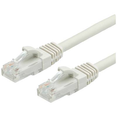 Netzwerkkabel mit zwei RJ45-Steckern für Ethernet-Verbindungen, geeignet für Heim- oder Büronetzwerke.