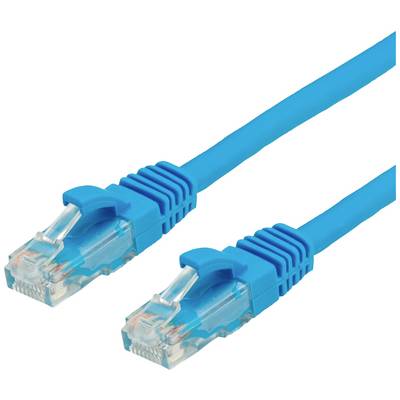 Zwei blaue Ethernet-Kabel mit transparenten Steckern, die für Netzwerkverbindungen verwendet werden.