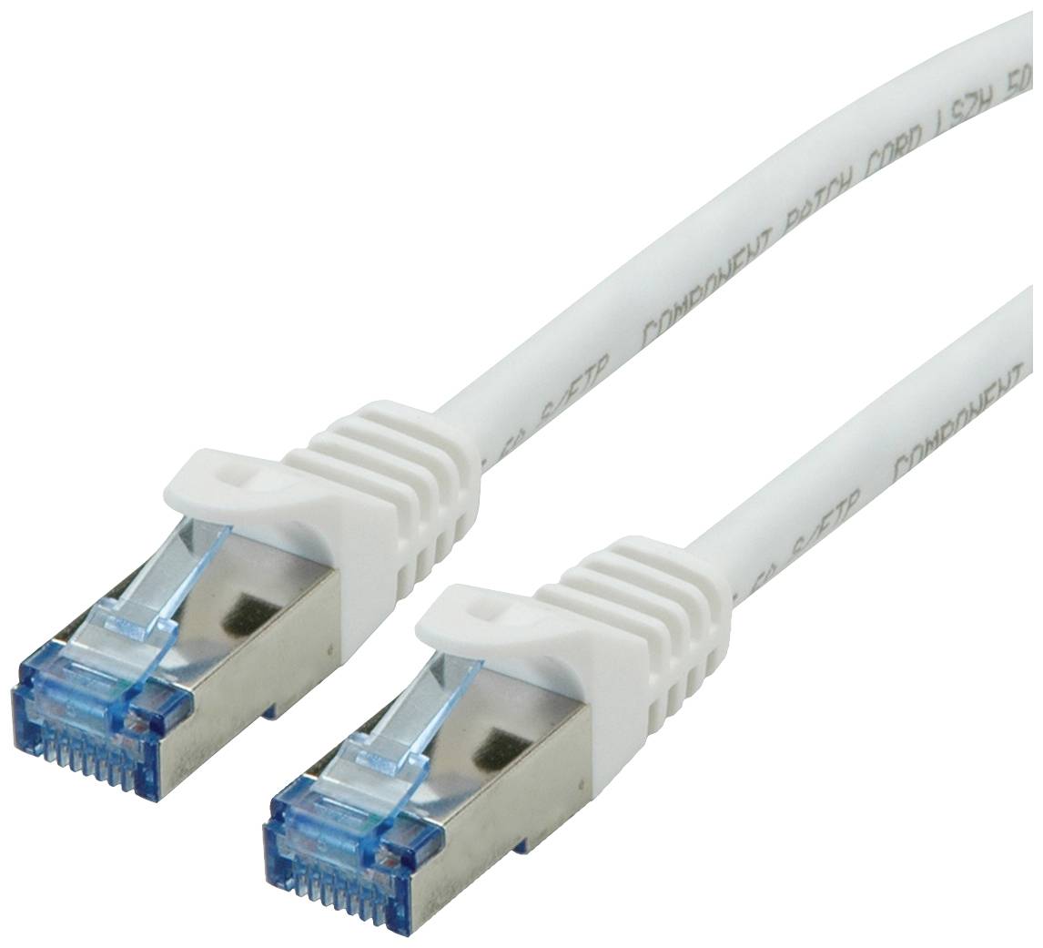 Zwei weiße Ethernet-Kabel mit blauen Anschlüssen liegen nebeneinander. Sie sind für Netzwerke und Internetverbindungen bestimmt.