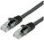 'Zwei schwarze Ethernet-Kabel mit transparenten Steckern nebeneinander, typisch genutzt für Netzwerkanbindungen.'