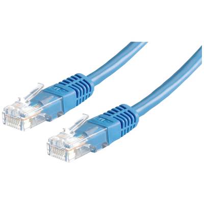Zwei blaue Ethernet-Kabel mit RJ-45-Steckern, die für Netzwerkverbindungen verwendet werden.