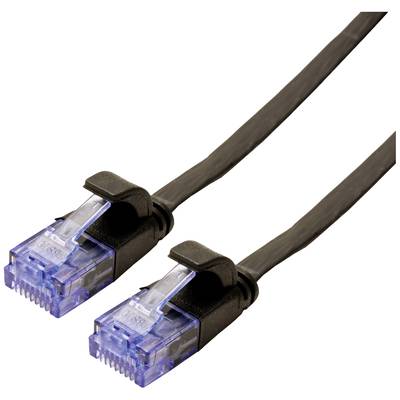 Zwei schwarze Ethernet-Kabel mit blauen Steckern in der Nahaufnahme. Sie sind nebeneinander platziert.