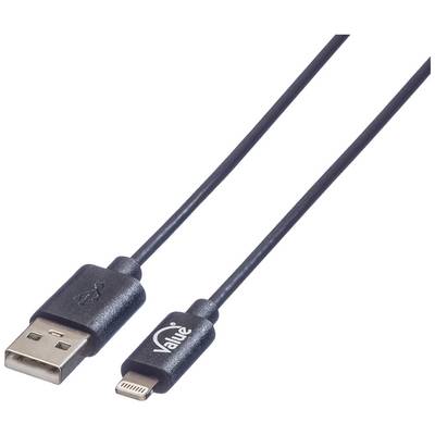 Schwarzes USB-zu-Lightning-Kabel, links USB-Stecker, rechts Lightning-Stecker, genutzt für Geräteverbindung und Datenübertragung.
