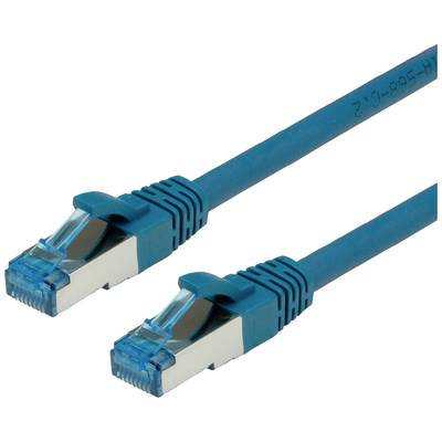 Zwei blaue Ethernet-Kabel mit RJ-45-Steckern, geeignet für Netzwerkanbindungen und Datenübertragungen.