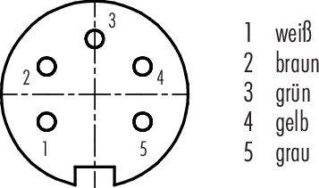 Steckverbinderschema mit fünf Pins: weiß (1), braun (2), grün (3), gelb (4), grau (5).