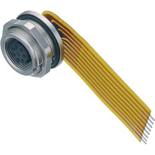 binder 09 0428 65 08-20 Flanschdose Buchse, gerade Gesamtpolzahl: 8 Serie (Rundsteckverbinder): 712 1 St.