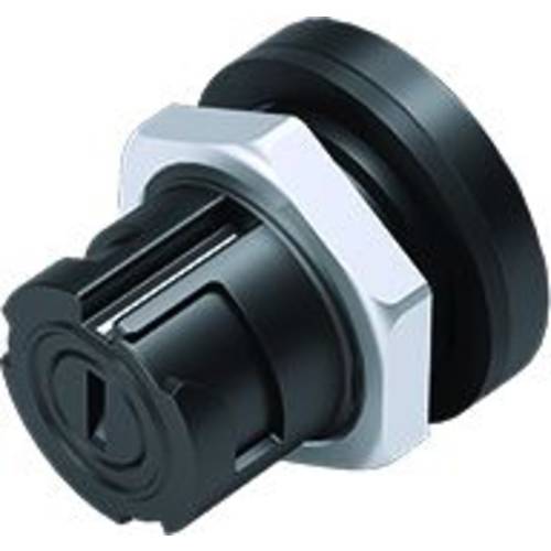 binder 09 0762 180 05-20 Flanschdose Stecker, gerade Gesamtpolzahl: 5 Serie (Rundsteckverbinder): 670 1 St.