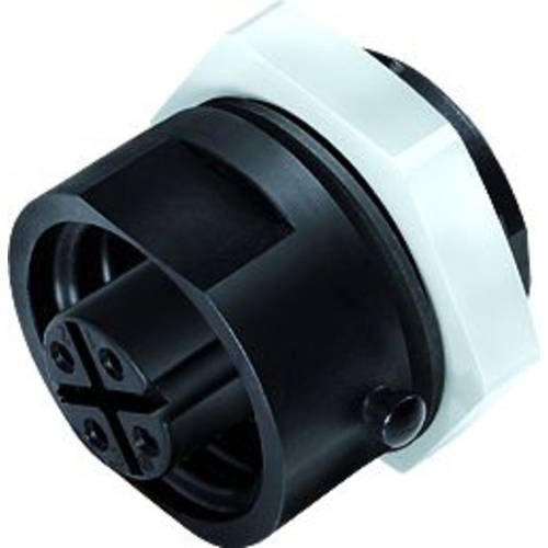 binder 09 4224 150 04-20 Flanschdose Buchse, gerade Gesamtpolzahl: 4 + PE Serie (Rundsteckverbinder): 693 1 St.