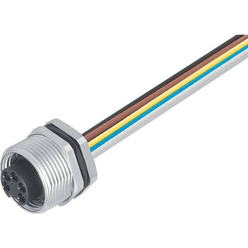 binder 09 2450 100 05-20 Buchse, gerade, Flanschbuchse Gesamtpolzahl: 5 + PE Serie (Rundsteckverbinder): 820 1 St.