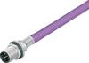 binder 70 4433 247 04-20 Sensor-/Aktor-Steckverbinder, unkonfektioniert PG9 Flanschstecker 0.5 m Polzahl Sensoren: 2 1 St.