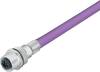 binder 70 4434 246 04-20 Sensor-/Aktor-Steckverbinder, unkonfektioniert M16 Buchse, gerade 0.5 m Polzahl Sensoren: 2 1 St.
