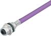 binder 70 4434 247 04-20 Sensor-/Aktor-Steckverbinder, unkonfektioniert Buchse, gerade, Flanschbuchse 0.5 m Polzahl Sensoren: 2 1 St.