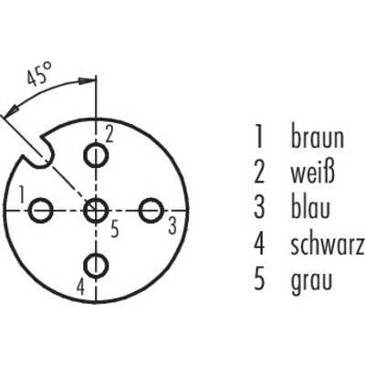 Diagramm eines 5-poligen Steckers mit Farbnummerierung: 1 braun, 2 weiß, 3 blau, 4 schwarz, 5 grau. Zeigt eine 45° Markierung.
