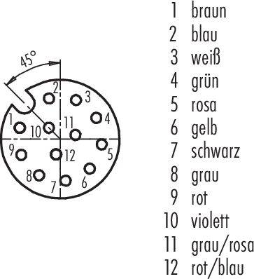 Diagramm eines Steckverbinders mit Pins 1 bis 12. Jeder Pin ist farbcodiert, z.B. 1: braun, 2: blau, 3: weiß. Steckrichtung 45°.