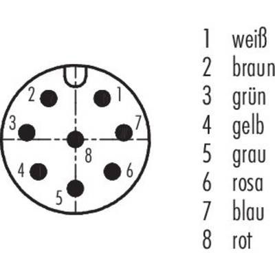 'Diagramm eines 8-poligen Steckers mit Nummern und zugeordneten Farben: 1 weiß, 2 braun, 3 grün, 4 gelb, 5 grau, 6 rosa, 7 blau, 8 rot.'