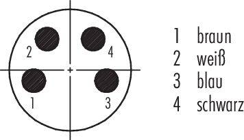 Diagramm mit vier nummerierten Kreissegmenten. Legende: 1 braun, 2 weiß, 3 blau, 4 schwarz.