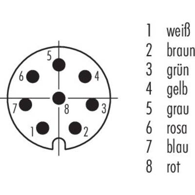 'Diagramm eines 8-poligen Steckers mit Pinbelegung: 1 weiß, 2 braun, 3 grün, 4 gelb, 5 grau, 6 rosa, 7 blau, 8 rot.'
