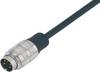 binder 79 6013 20 05-20 Rundstecker konfektioniert Stecker, gerade Gesamtpolzahl: 5 Serie (Rundsteckverbinder): 425 1 St.