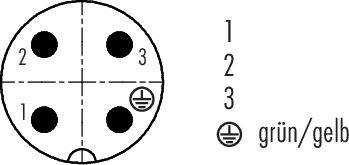 Steckerdiagramm mit Nummerierung 1, 2, 3. Kontakt 3 ist grün/gelb markiert und geerdet.