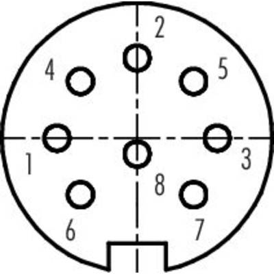 Ein Rundstecker-Schaltplan mit acht nummerierten Pins (1 bis 8), getrennt durch zwei senkrechte Linien, die sich in der Mitte kreuzen.