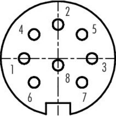 Diagramm eines 8-poligen elektrischen Steckers in Draufsicht, nummeriert von 1 bis 8, zeigt die Anordnung der Pinplätze.