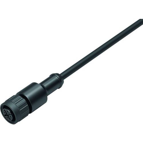 binder 77 3420 0000 50004-0200-20 Sensor-/Aktor-Steckverbinder, konfektioniert Buchse, gerade 2 m Polzahl Sensoren: 4 1 ...