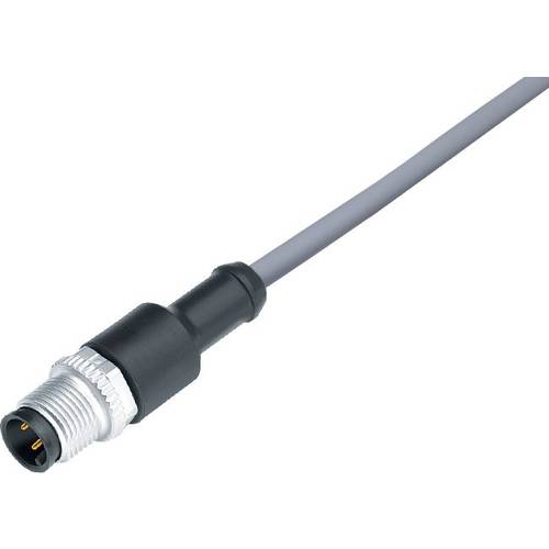 binder 77 3429 0000 20004-0200-20 Sensor-/Aktor-Steckverbinder, konfektioniert Stecker, gerade 2 m Polzahl Sensoren: 4 1...
