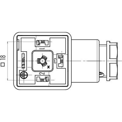 Technische Zeichnung eines Steckers mit 4 Anschlüssen, Maße und ein zentrales Schraubensymbol.
