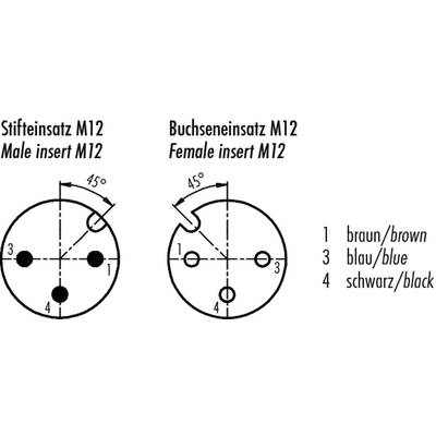'Stifteinsatz M12' und 'Buchseinsatz M12' mit 45°-Ausrichtung. Pins 1 in braun, 3 in blau, 4 in schwarz. Beschriftet auf Deutsch und Englisch.
